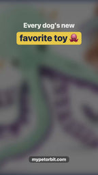 Octopus dog toy video
