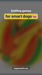 Dog Snuffle Ball video