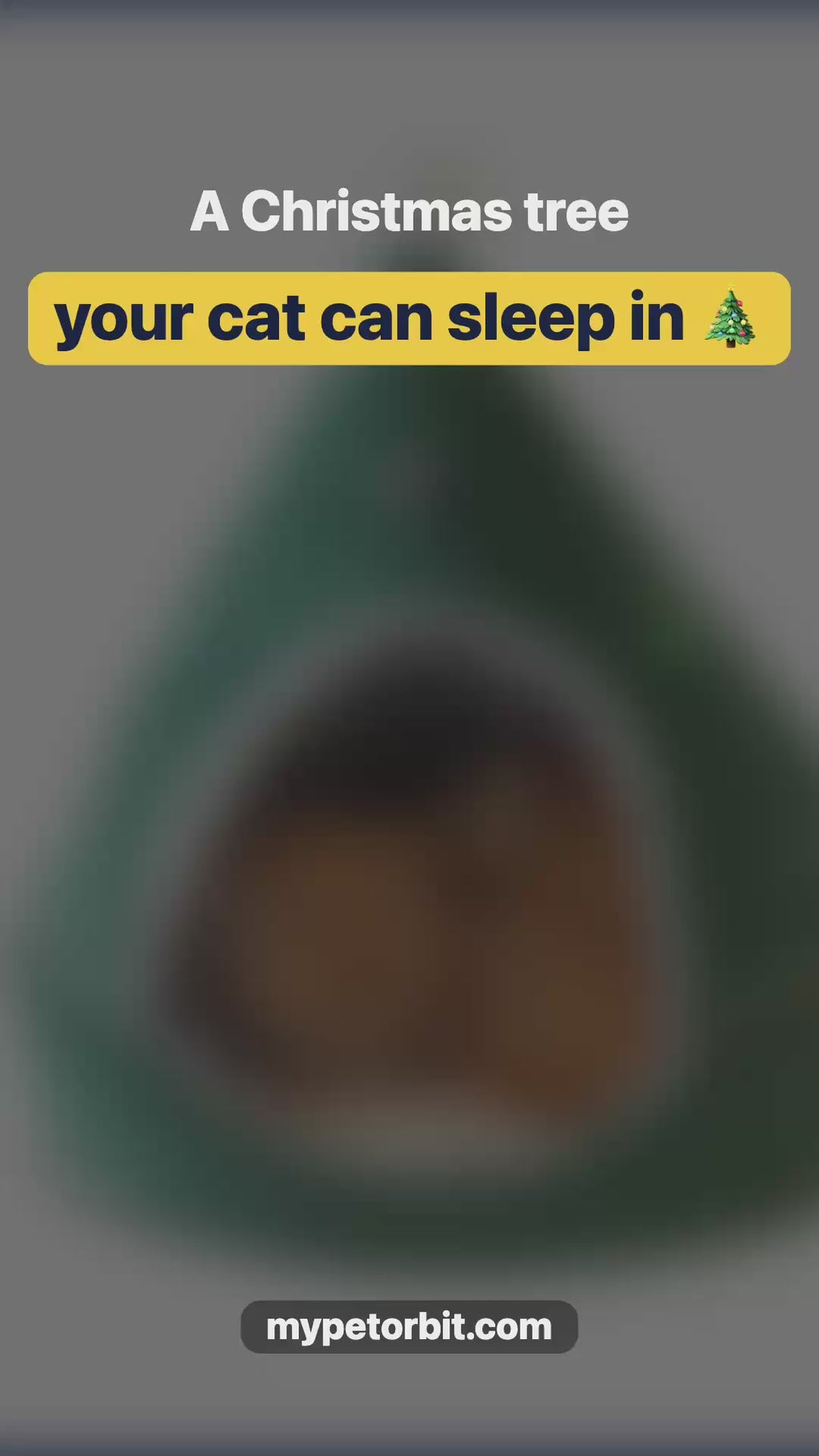 Christmas Tree Pet Bed video