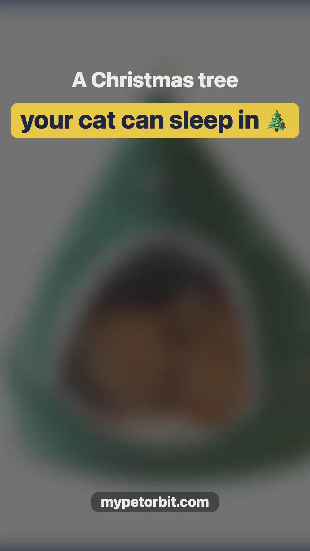 Christmas Tree Pet Bed video