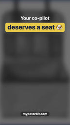 Dog Car Booster Seat video
