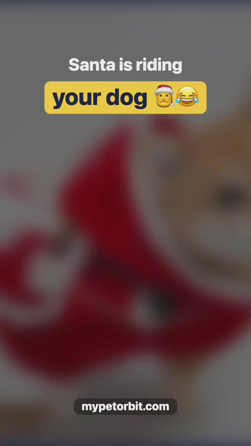 Riding Santa Dog Costume video