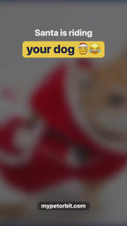 Riding Santa Dog Costume video